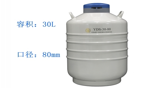 金鳳貯藏型液氮罐YDS-30-80