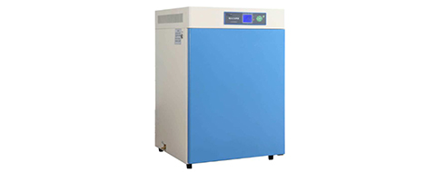 1597282959128722.jpg 11.jpg